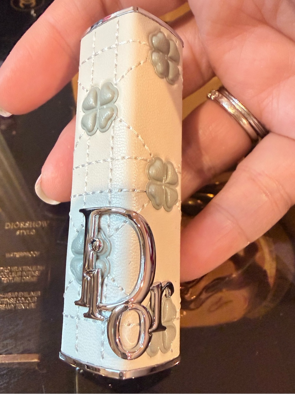 Limited Edition Dior Lipstick Case in Charm